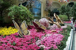 Bellagio Butterflies