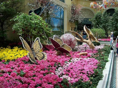 Bellagio Butterflies