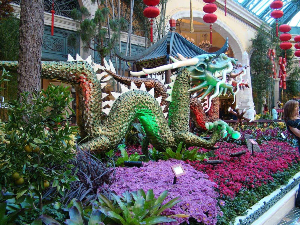 Bellagio- Las Vegas - Year of the Dragon display.  Botanical gardens,  Bellagio las vegas, Year of the dragon