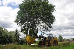Dutchman_95_Tree_Spade_on_Loader-wikipedia