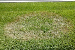 brown-patch-scot-nelson