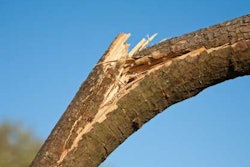 iStock_000010883899XSmall