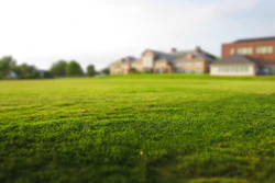 lawn-pixabay