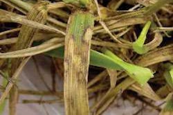 hot-and-humicUntitled-1