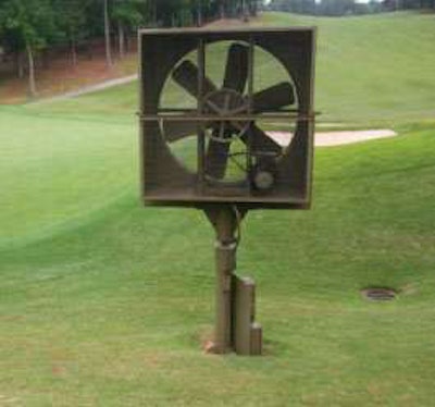 Increased airflow can help prevent the disease. For lawns: remove obstructions such as overgrown trees and shrubs.