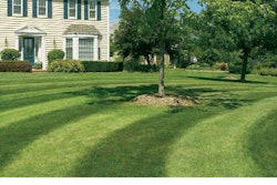 lawnUntitled-1