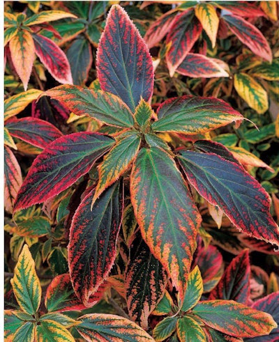 Copper plant