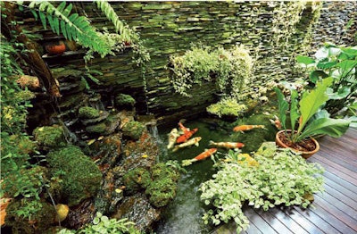 How do I make my Fish Tank Water Crystal Clear - Koi Kompanion - Koi Pond  Design, Installation and Supplies and Lawn Care Services