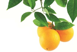 Citrus Fruit