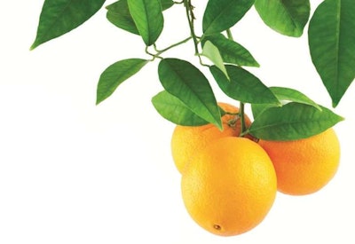 Citrus Fruit