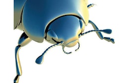 blue-bugUntitled-1