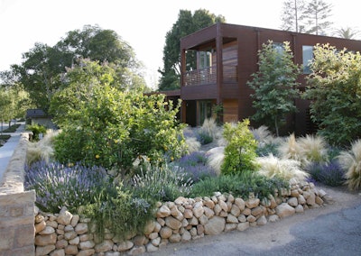 picture of a brown new aged home with a landscaped french garden for a lawn that surrounds a lemon tree