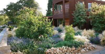Mexican Feather Grass is a key component of this low-maintenance yard in Santa Barbara, California, which also features smaller grasses like Mueller’s Fescue and Autumn Moor Grass.