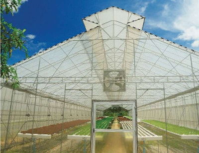 Greenhouse Untitled 1