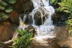 water-runs-througnh-itUntitled-1