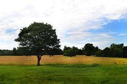 timeline-background
