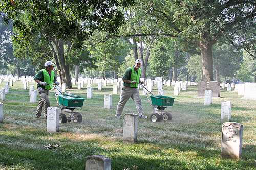 7351966544 Ebaef0ba0b