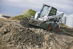 Bobcat Roundup