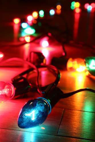 Christmas Lights1