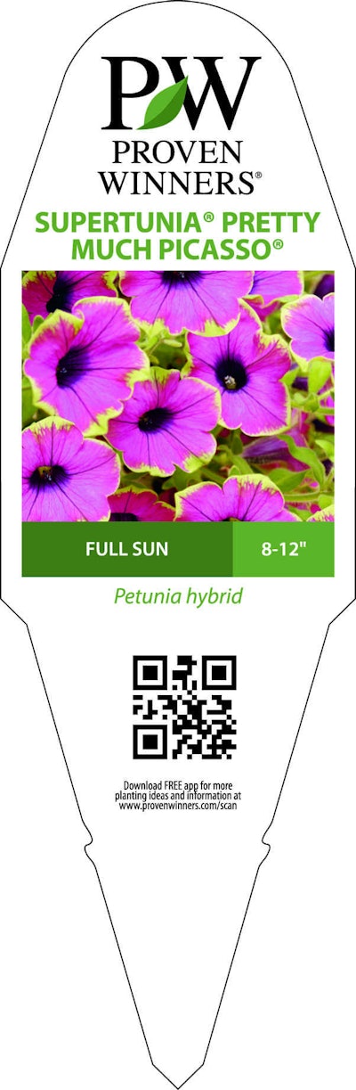 Proven W Inners Supertunia Pm Picasso Tag