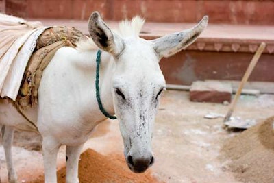 About three-quarter horsepower