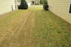 Specticle’s results (left) compared to no pre-emergence treatment