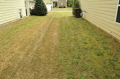 Specticle’s results (left) compared to no pre-emergence treatment
