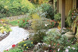 Fotusky and his crew built the paver driveway and walkway and tucked in a small water feature among the plantings, which the homeowner installed.