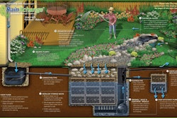 Rainwater Illustration