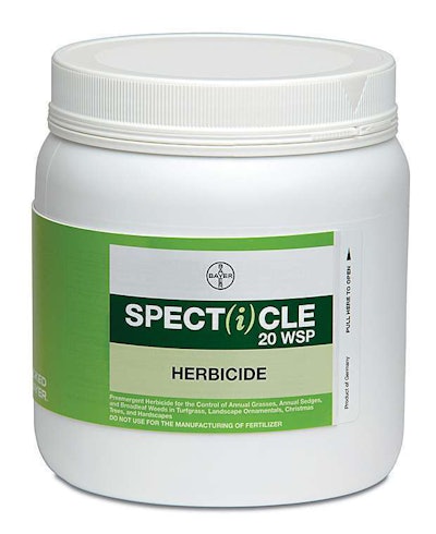 Specticle 20 Wsp