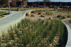 Bioswales filter water from surrounding impervious surfaces.
