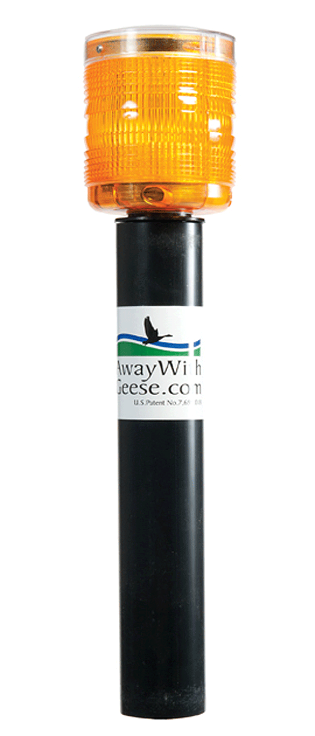 Awg2012 Land Portrait 1