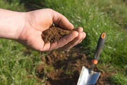 Clay Soil7