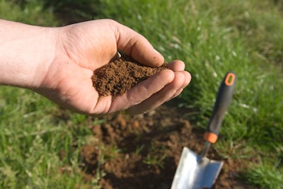 Clay Soil7