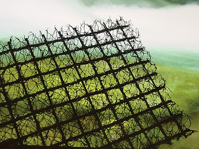 Enkamat Editors Pick