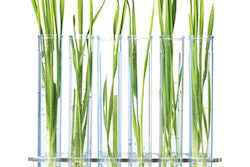 Grass Test Tubes