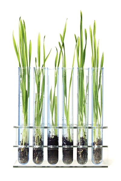 Grass Test Tubes