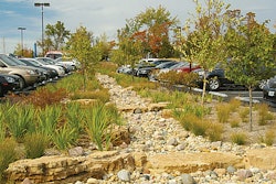 Novus Images6