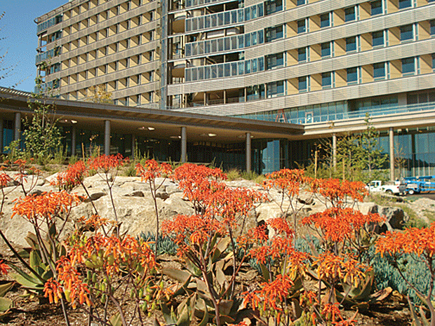 Opening Photoportfoliio