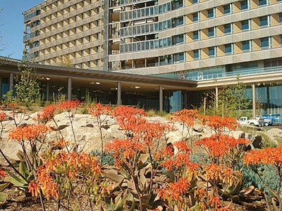 Opening Photoportfoliio