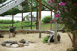 Terra Nikos Wedding 04922