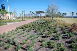 Rene West, owner of Executive Landscaping Inc., planted more than 20,000 plants at Maritime Park in Pensacola, Florida.