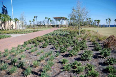 Rene West, owner of Executive Landscaping Inc., planted more than 20,000 plants at Maritime Park in Pensacola, Florida.