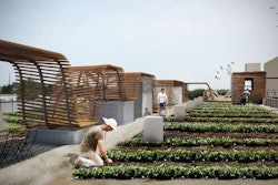 A photo rendering of The Food Roof, which is planned to be a rooftop community sponsored agriculture (CSA) farm. The Food Roof will included an outdoor gathering space for community events and educational opportunities. The site affords a view of downtown. The location of The Food Roof is 1335 Convention Plaza in downtown St. Louis. The Food Roof is a project of Urban Harvest STL