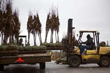 The Oregonian Thomas Boyd