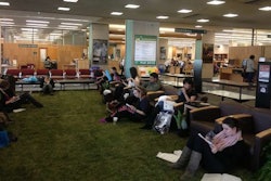 The Lawn In Use4