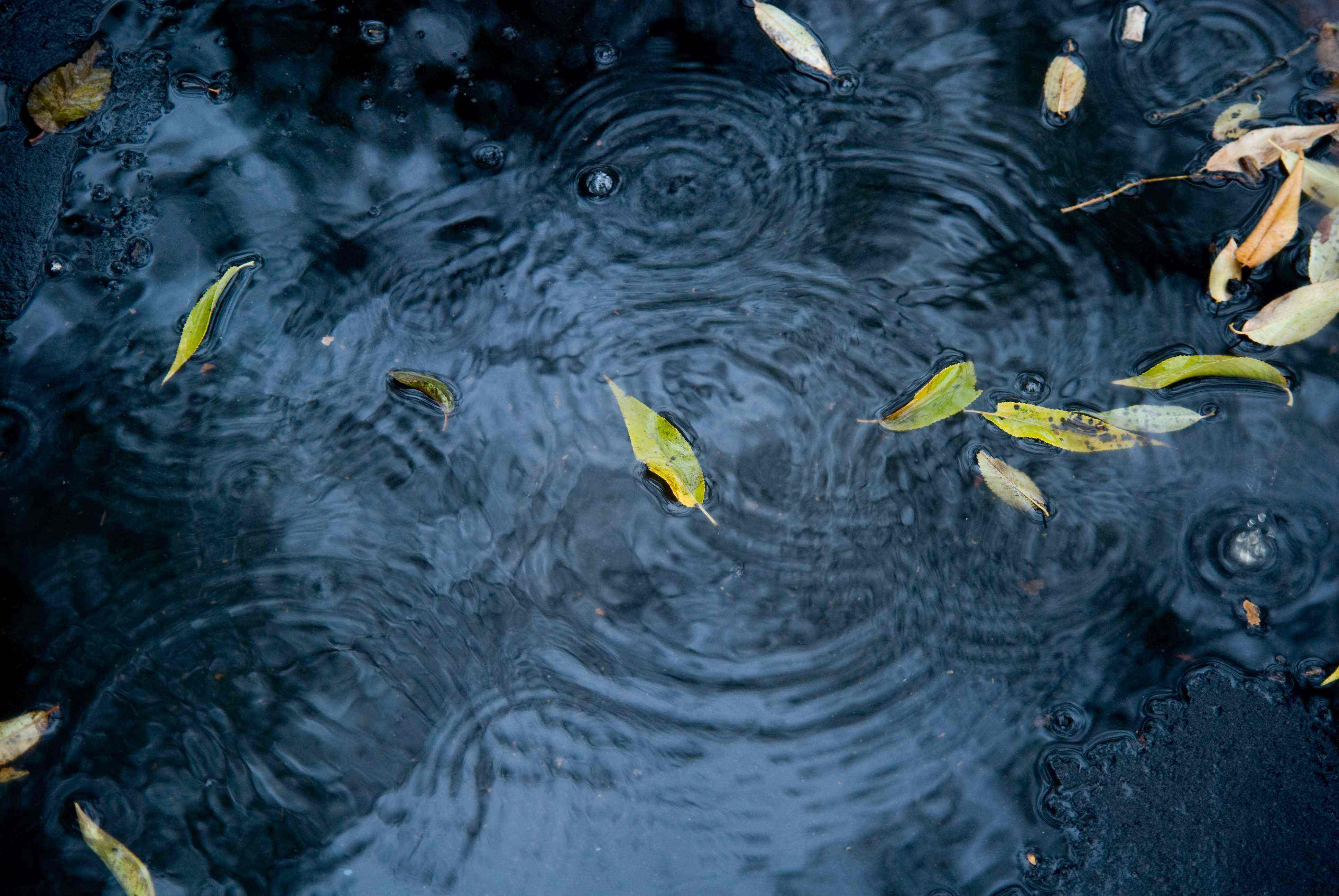 Shutterstock 87513706