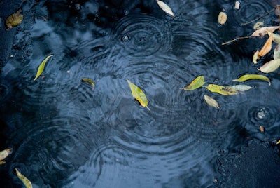 Shutterstock 87513706