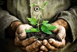 Shutterstock 92770366