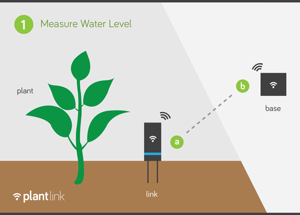 2c086dcfd30743d2e6c642084d3cbca2 Large